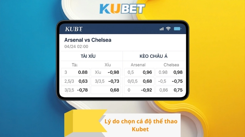 Lý do chọn cá độ thể thao Kubet